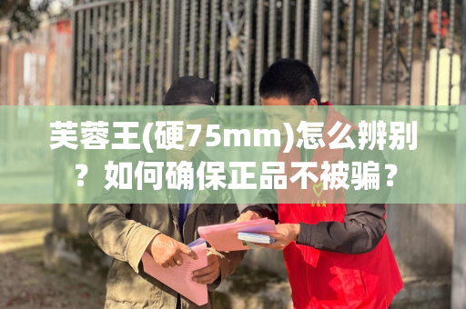 芙蓉王(硬75mm)怎么辨别？如何确保正品不被骗？